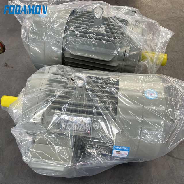 Roller Crusher Motor
